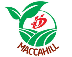 Hat mac ca maccahill 16 300x240 - Thiết kế website cho MẮC CA MACCAHILL KonTum