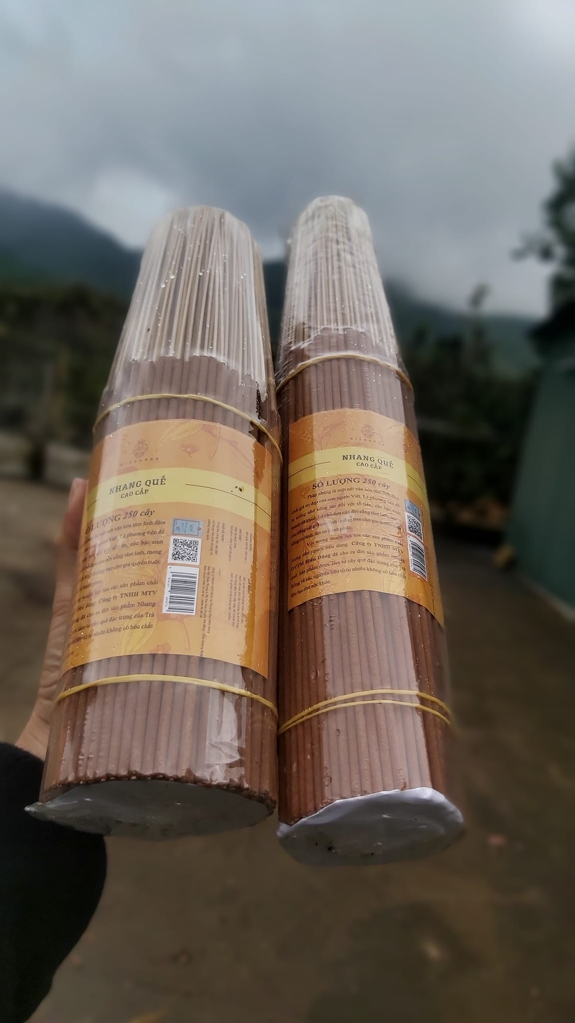 472785994 122191663406160511 4889267162648846827 n - Nhang Quế Hiếu Dũng - CÔNG TY TNHH HIẾU DŨNG